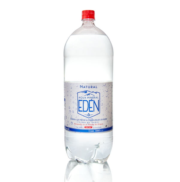 EDÉN Sin Gas 6 X 3LT