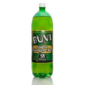 BUVI Ginger Ale 6 X 2LT